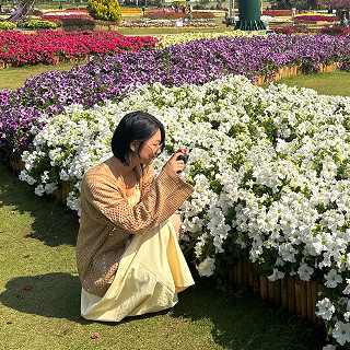エンジニア Phyu Sin Ou